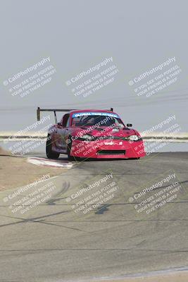 media/Nov-10-2024-GTA Finals Buttonwillow (Sun) [[9486b6e4c5]]/Group 4/Session 2 (Grapevine Exit)/